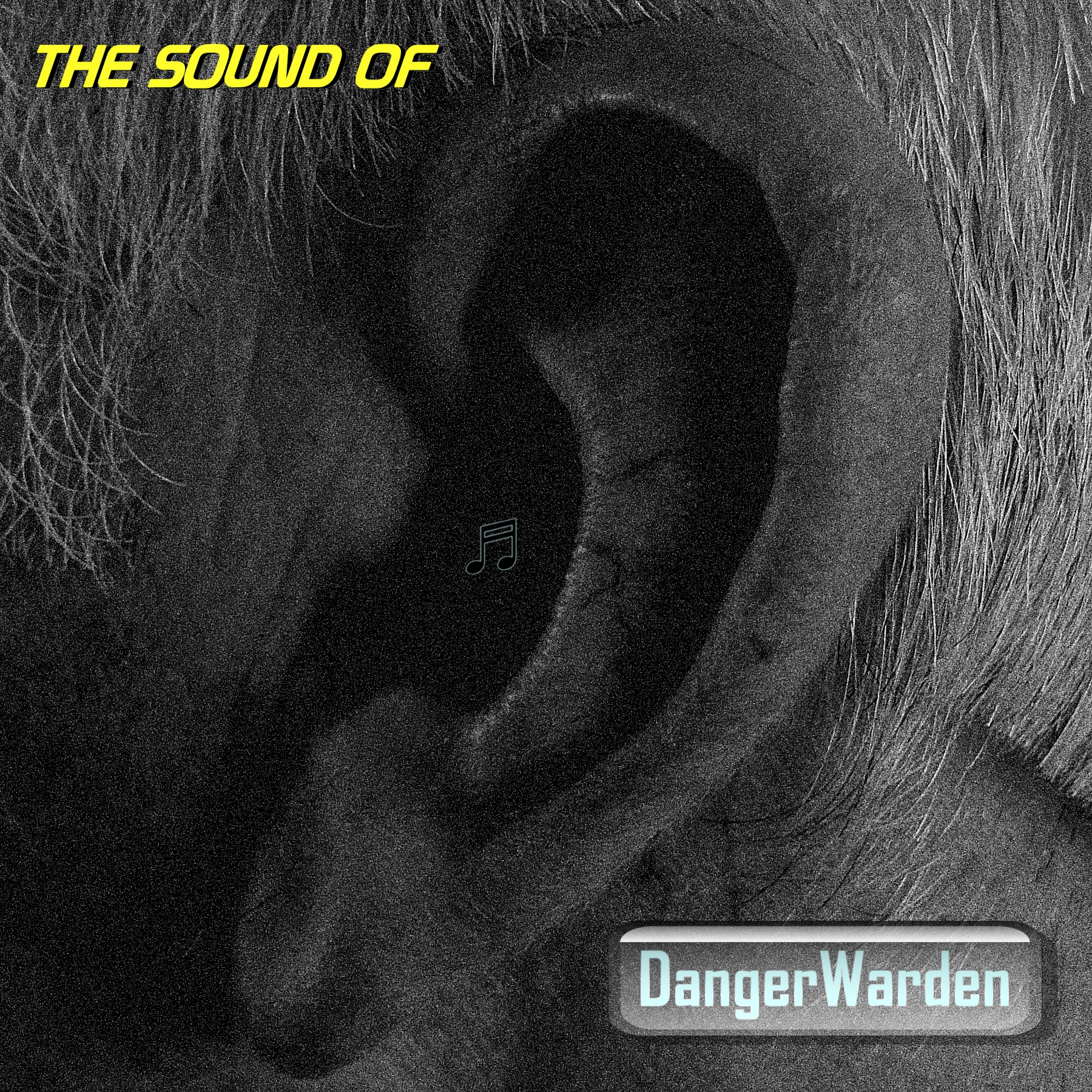 The Sound Of album cover